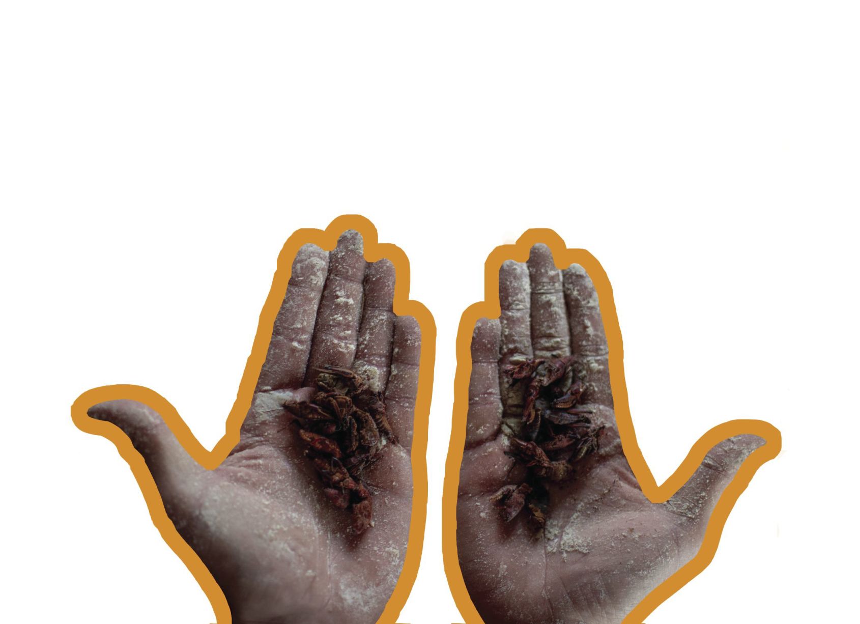 bughands.png
